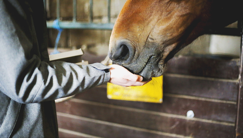 �Ƿ�����(�й���)-�ٷ���վ